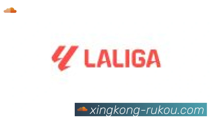 星空体育官网入口合作伙伴