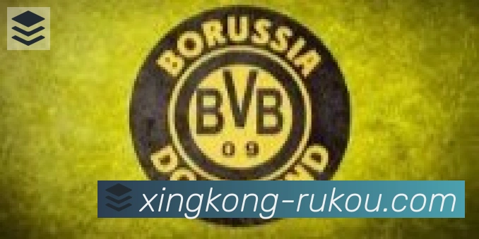 星空体育官网入口合作伙伴