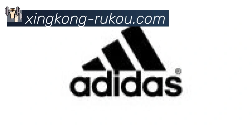 星空体育官网入口合作伙伴